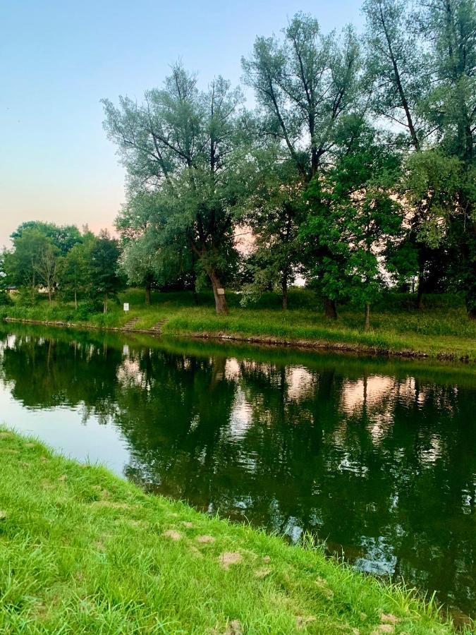 Schoene, Grosse Ferienwohnung Direkt Am Donauradweg & Keltenstadt Heuneburg 黑伯廷根 外观 照片