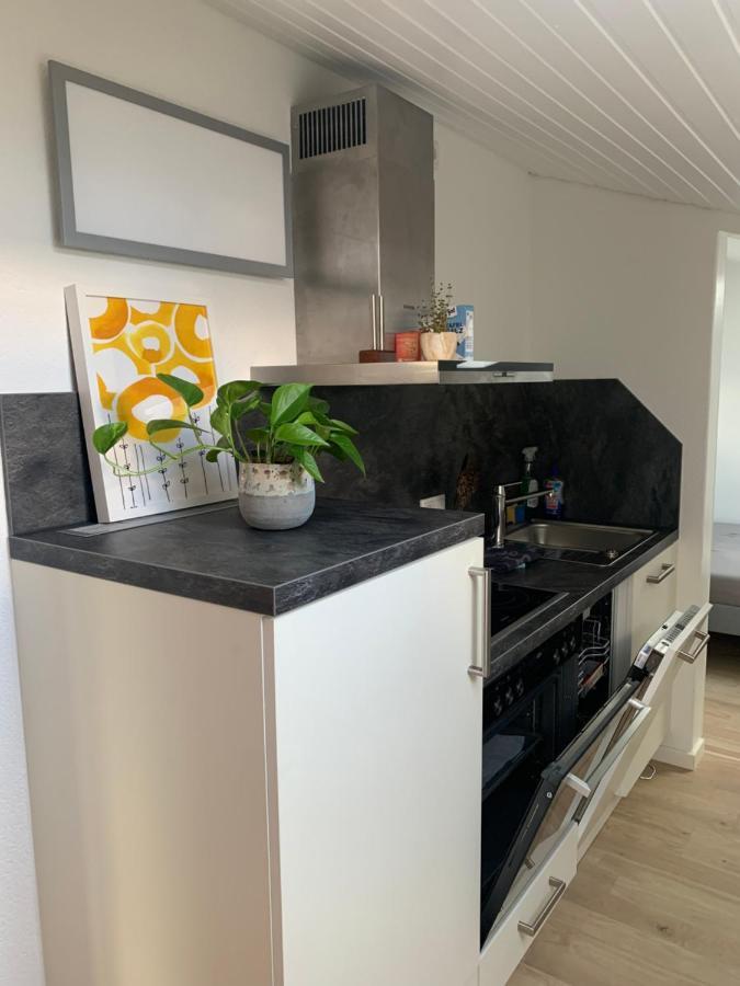 Schoene, Grosse Ferienwohnung Direkt Am Donauradweg & Keltenstadt Heuneburg 黑伯廷根 外观 照片