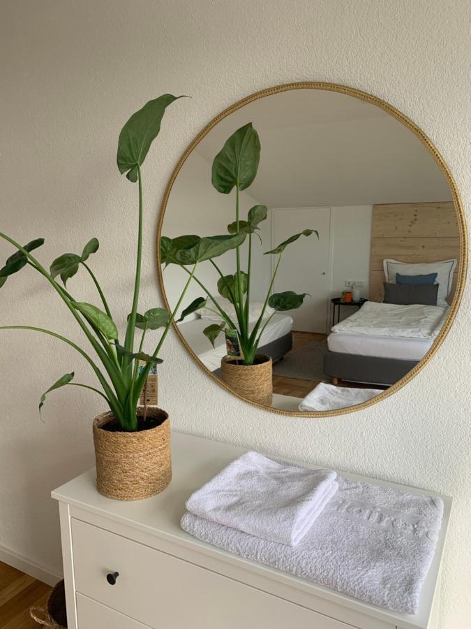 Schoene, Grosse Ferienwohnung Direkt Am Donauradweg & Keltenstadt Heuneburg 黑伯廷根 外观 照片
