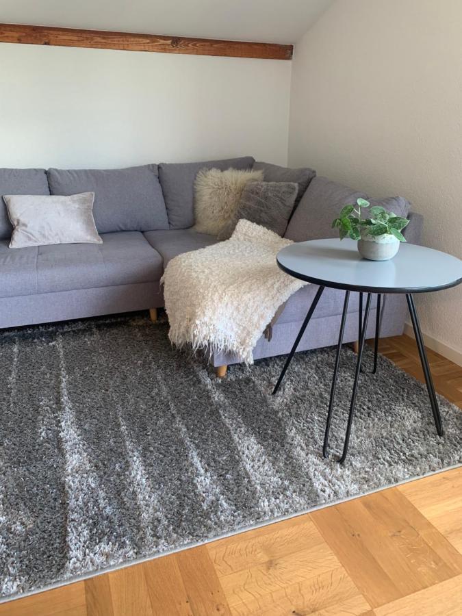 Schoene, Grosse Ferienwohnung Direkt Am Donauradweg & Keltenstadt Heuneburg 黑伯廷根 外观 照片