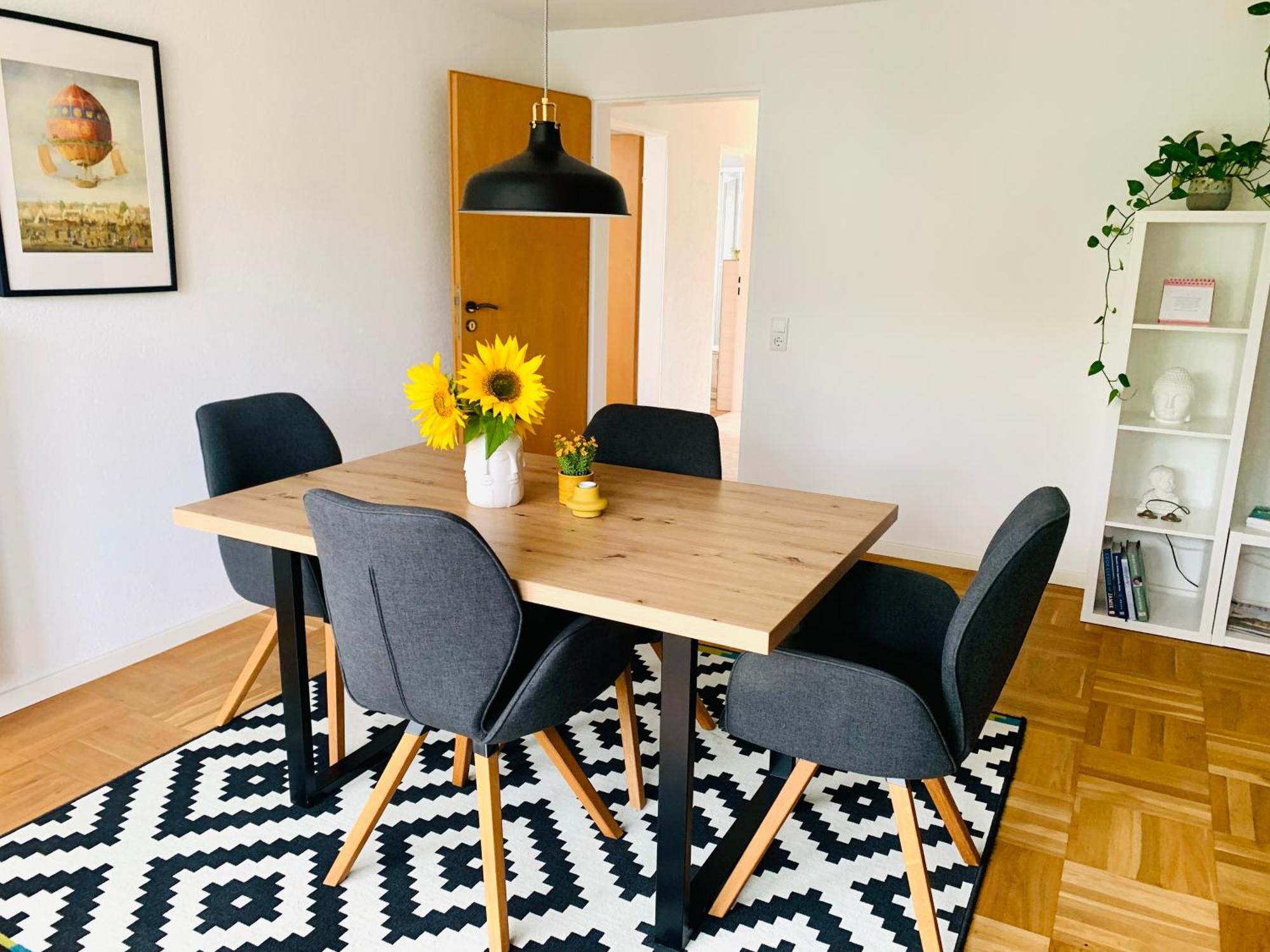 Schoene, Grosse Ferienwohnung Direkt Am Donauradweg & Keltenstadt Heuneburg 黑伯廷根 外观 照片